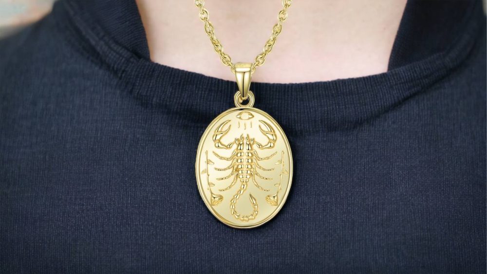 14k Gold Scorpion Necklace   Silver and Gold Scorpion Pendant   Scorpion Style Necklace   Gold Plated Scorpion Pendant5